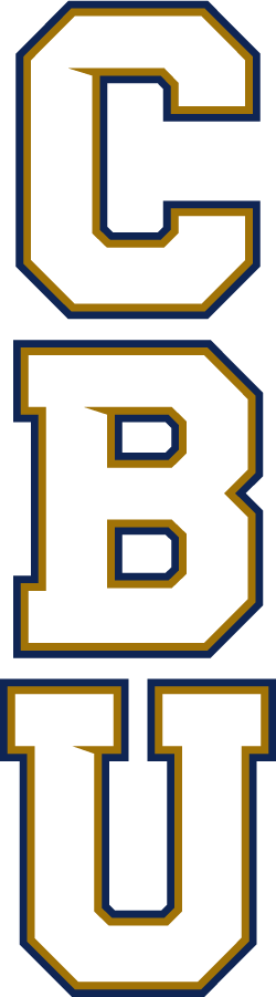 California Baptist Lancers 2017-Pres Wordmark Logo v2 DIY iron on transfer (heat transfer)